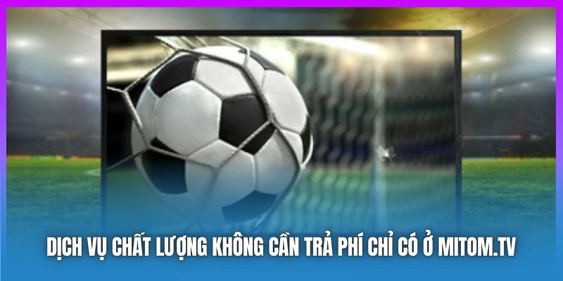 Dịch vụ chất lượng không cần trả phí chỉ có ở Mitom.tv