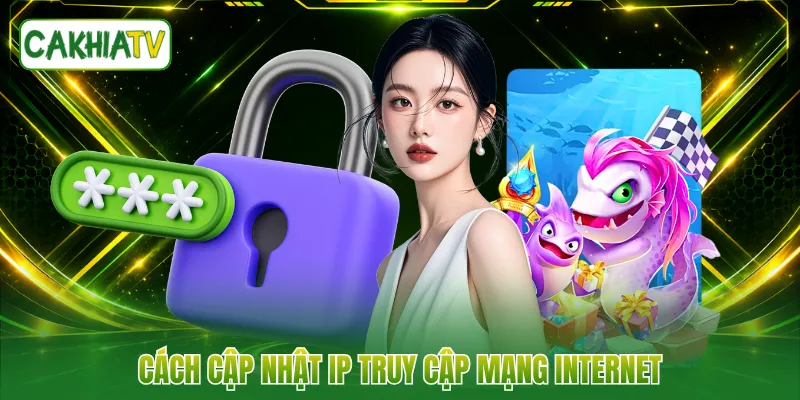 Cách cập nhật IP truy cập mạng internet