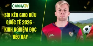 Soi Kèo Giao Hữu Quốc Tế 2026 - Kinh Nghiệm Đọc Kèo Hay